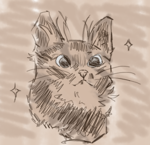 cute cat