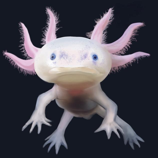 Axolotl (Request Viewer)