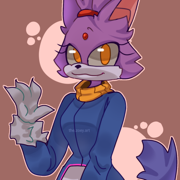 blaze the cat