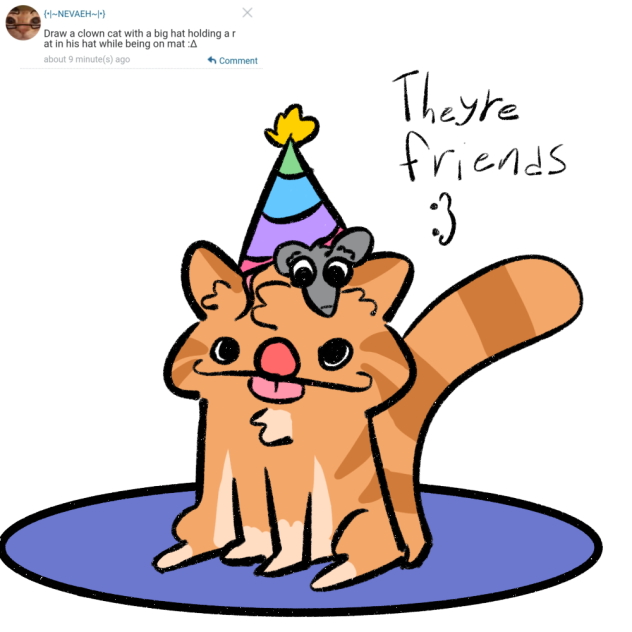 cat