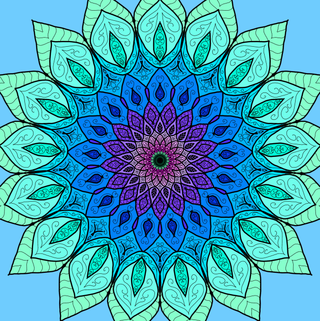 Morning Glory