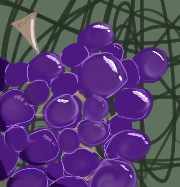 Yummy grapes 🍇