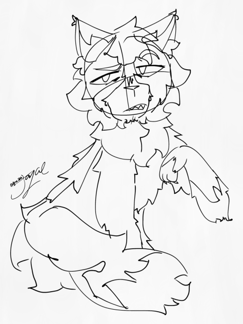 Cat doodle before bed