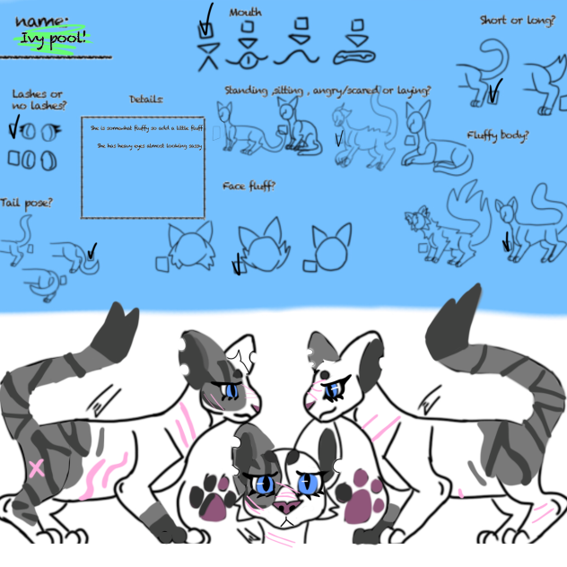 #Ivy pool#Warrior cats#reference sheet