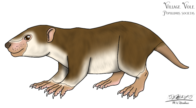 Village Vole