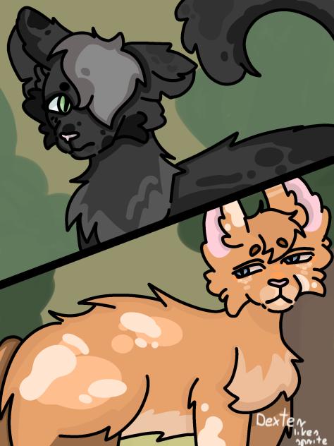 warrior cats