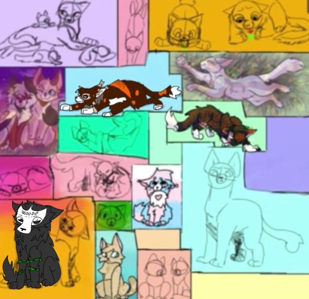 Warrior cats OC collab