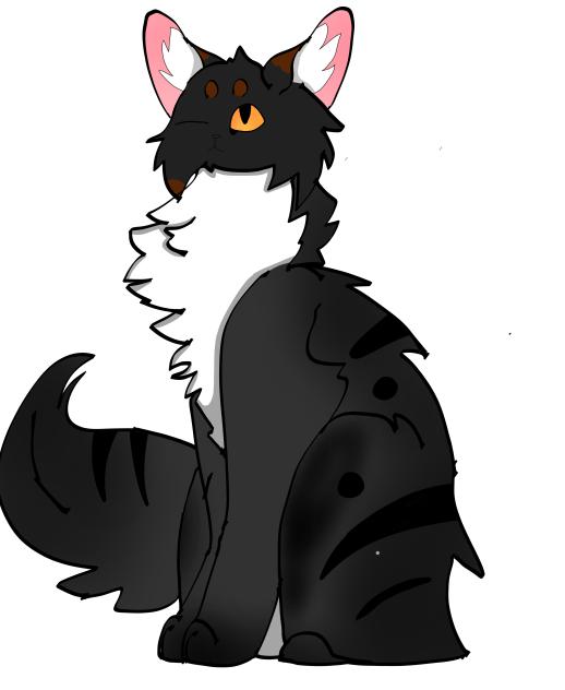 Blackfire