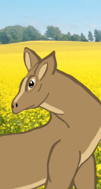 Deer in field