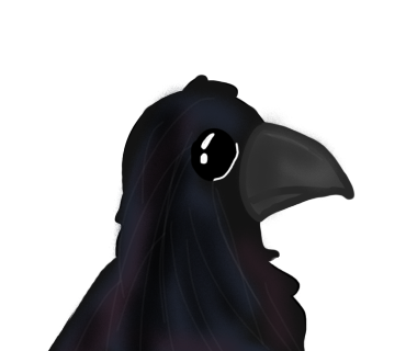 Dumb lil crow