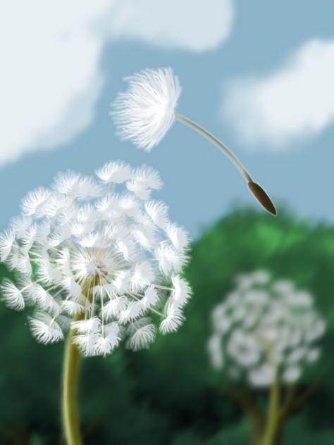 🌼 Dandelions 🌼