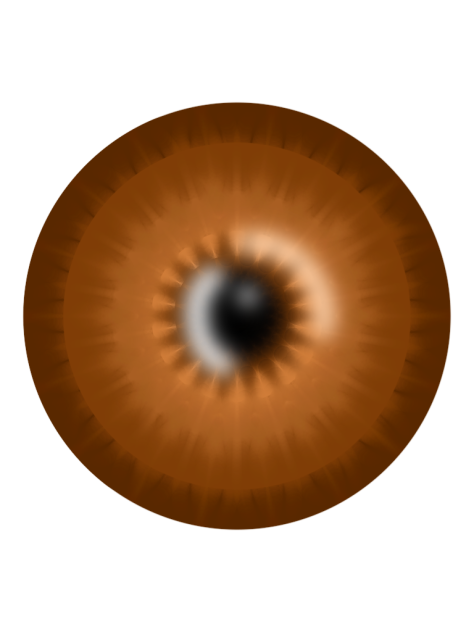عين