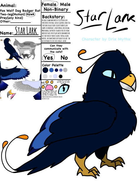 Star Lark’s design