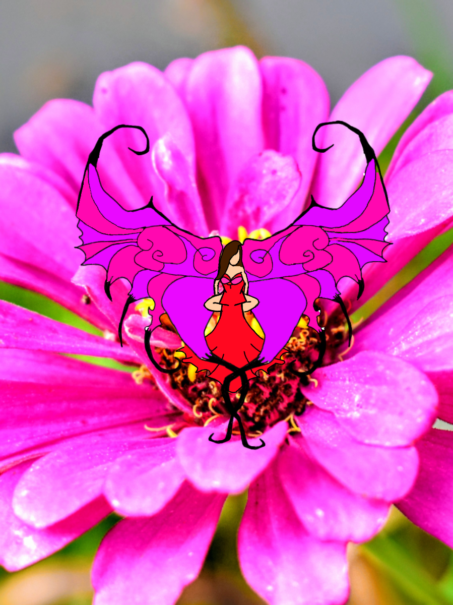 fairy - ibisPaint