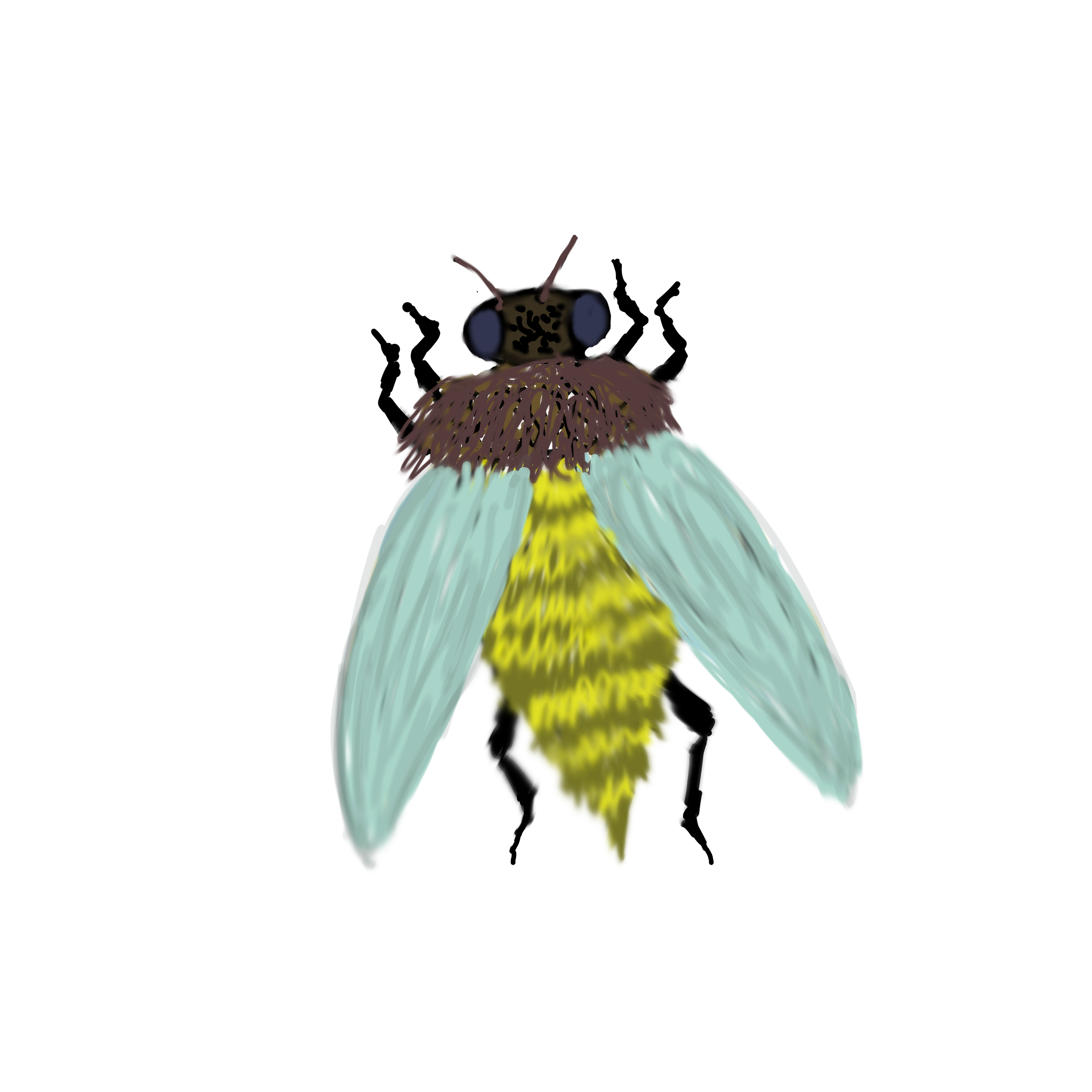 Bee - ibisPaint