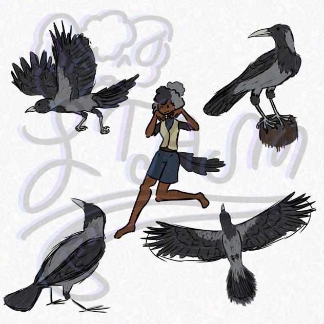 Hooded Crow