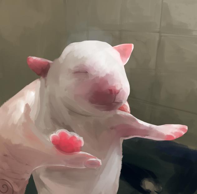 pibble