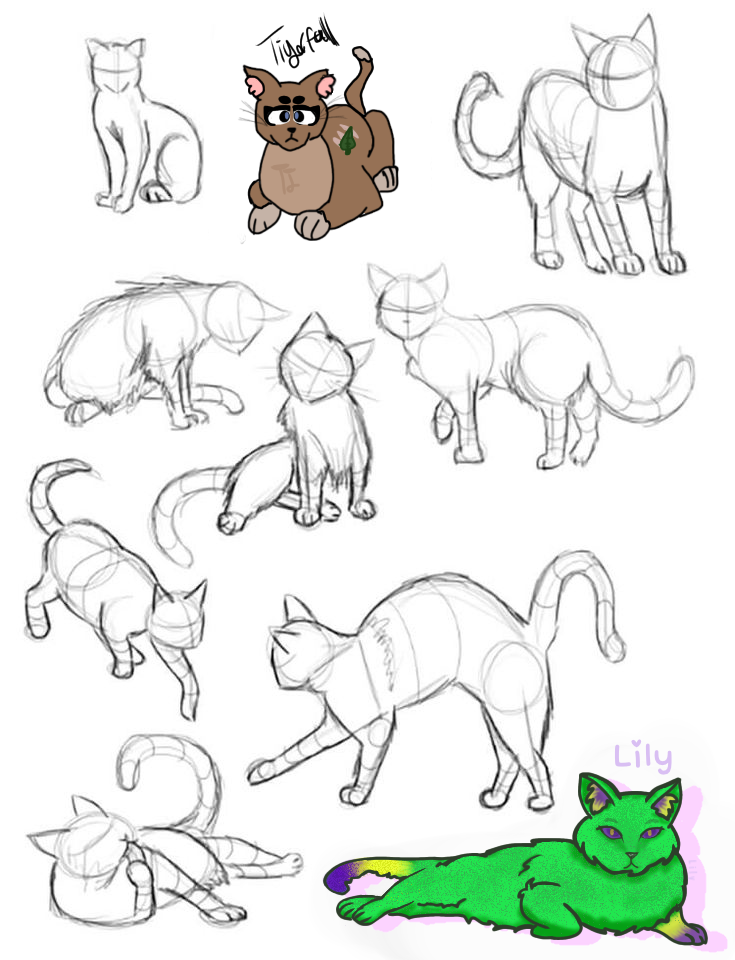 Cat colab - ibisPaint