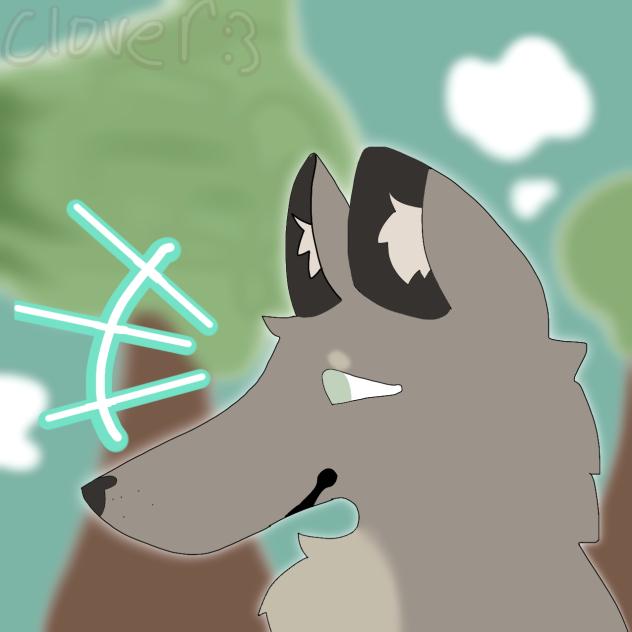 Wolf side view