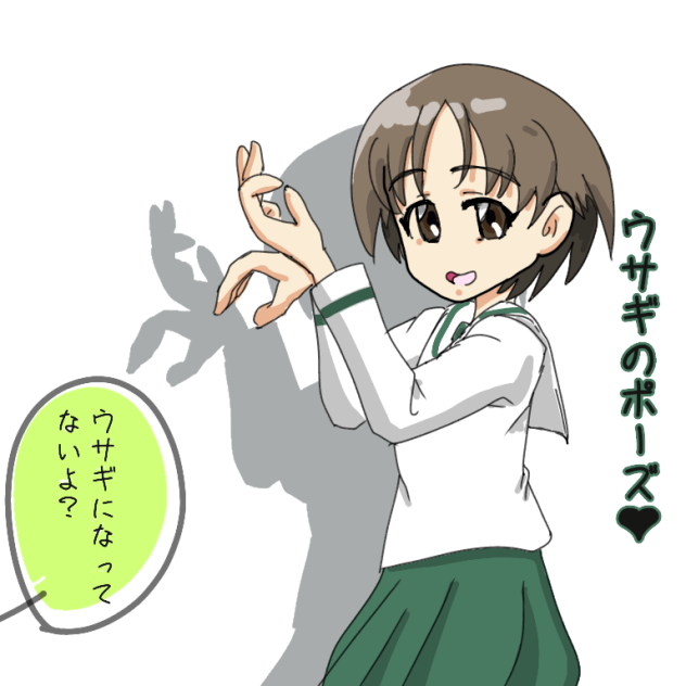 影絵失敗丸山紗希さん