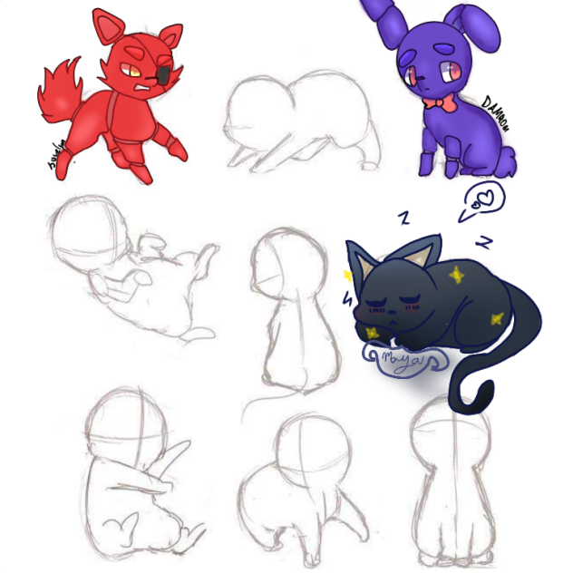 Pet Collab