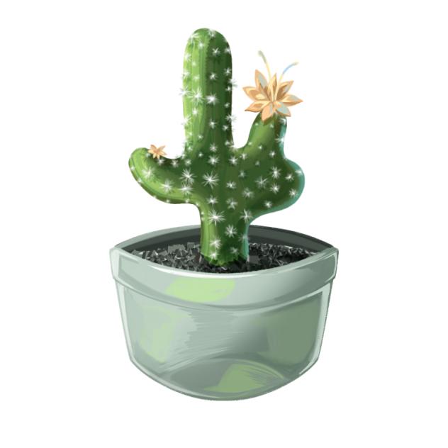 series of mini succulent 4