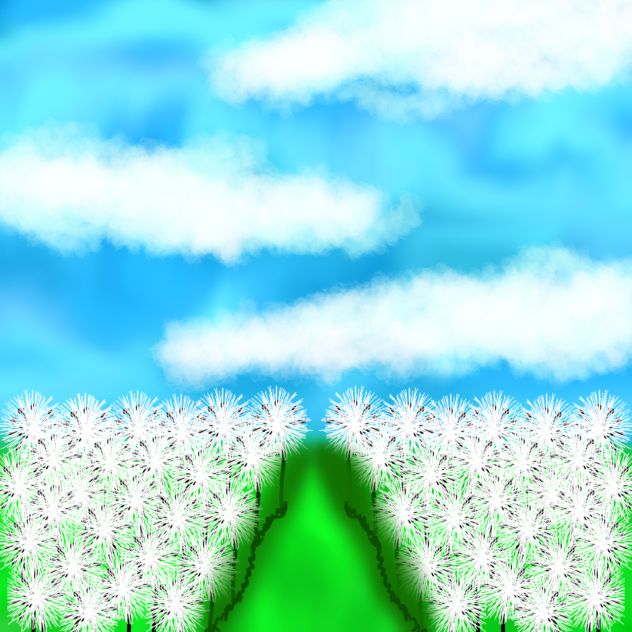 field of dandelions