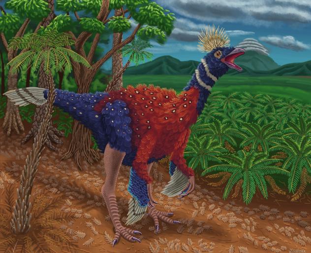 Tototlmimus Packardensis Red and Blue