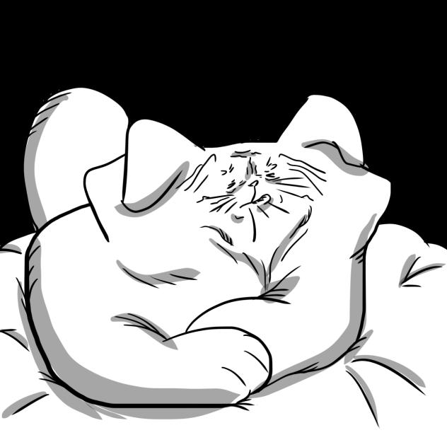 シワ猫