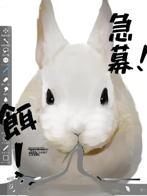 ばにーのひ