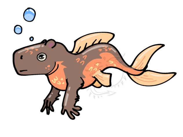 Capybara Golfish
