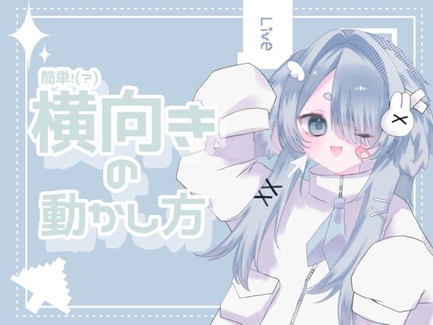 横向き解説どうがー