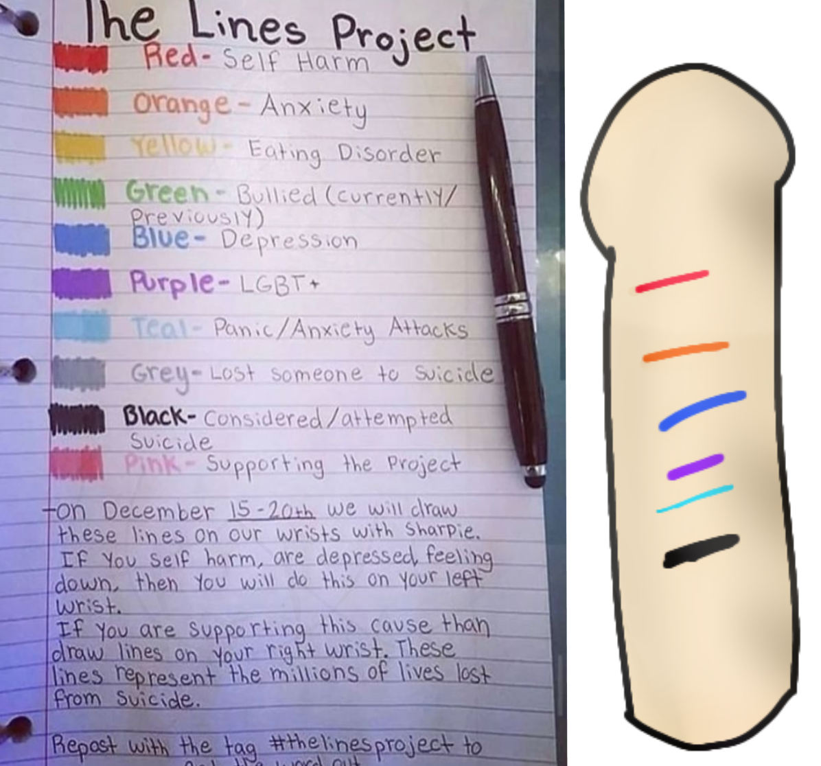 lines project - ibisPaint