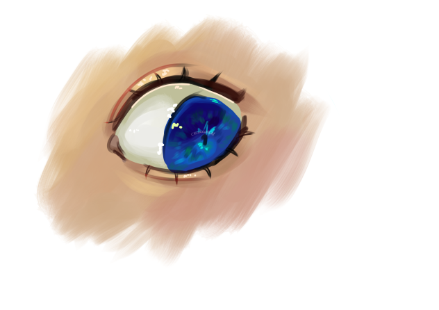 Eye