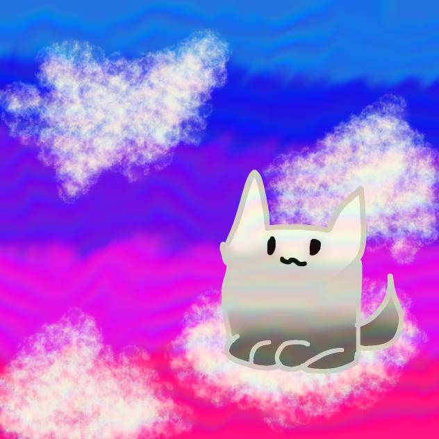 cat in the clouds.