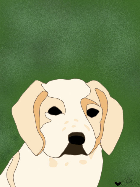 Toby - ibisPaint