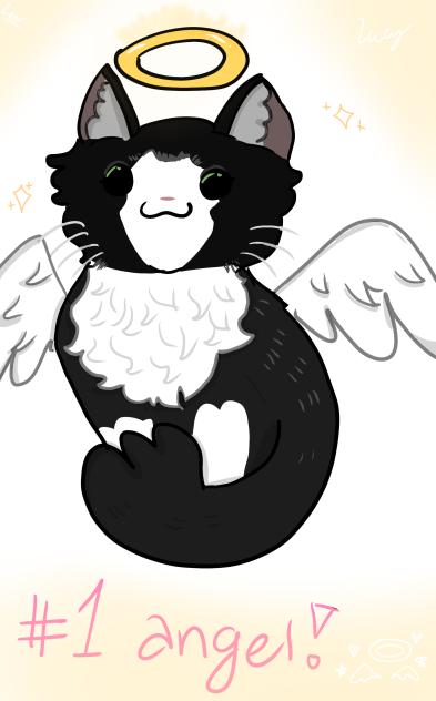 Number 1 angel!