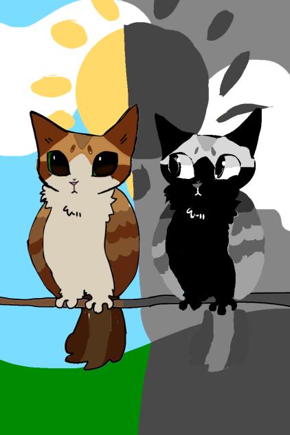 collab with my pookie