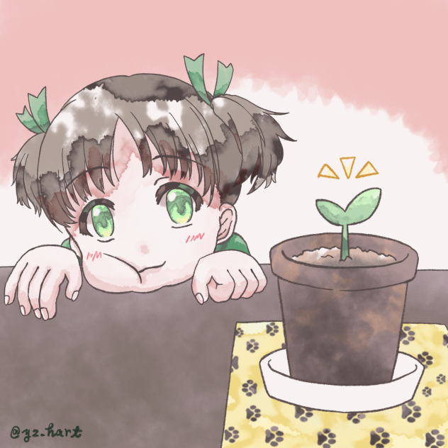 おそろい双葉🌱