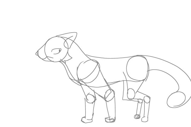 WIP cat animation