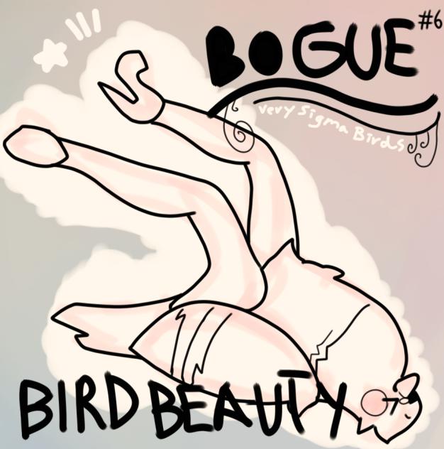 BOGUE!! Bird Beauty ⭐️