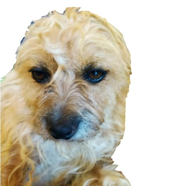 RITAa