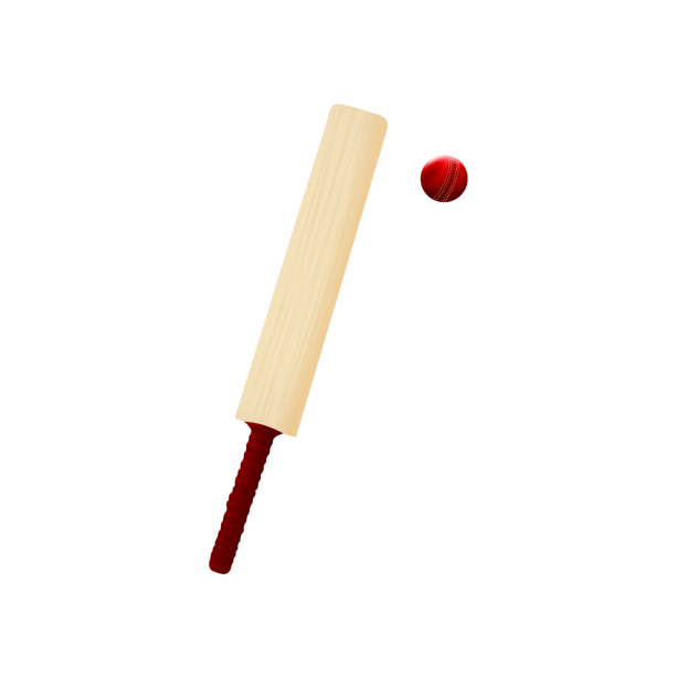 cricket bat