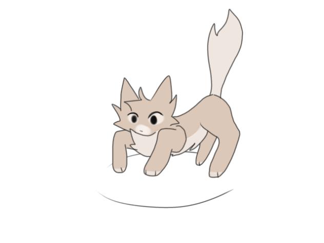 Spinning cat 🌀