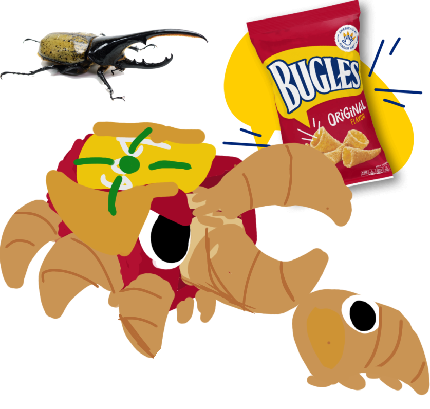 Here is the buggle - ibisPaint
