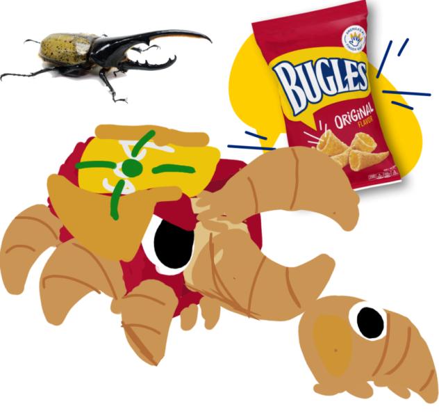 Here is the buggle - ibisPaint