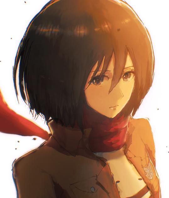 厚塗りミカサ