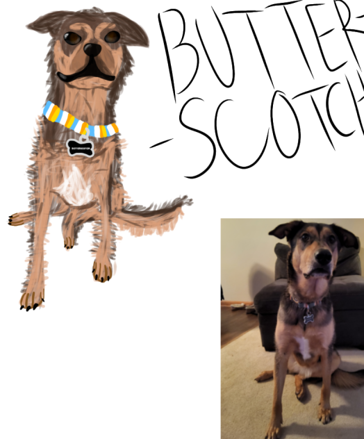 My Dog