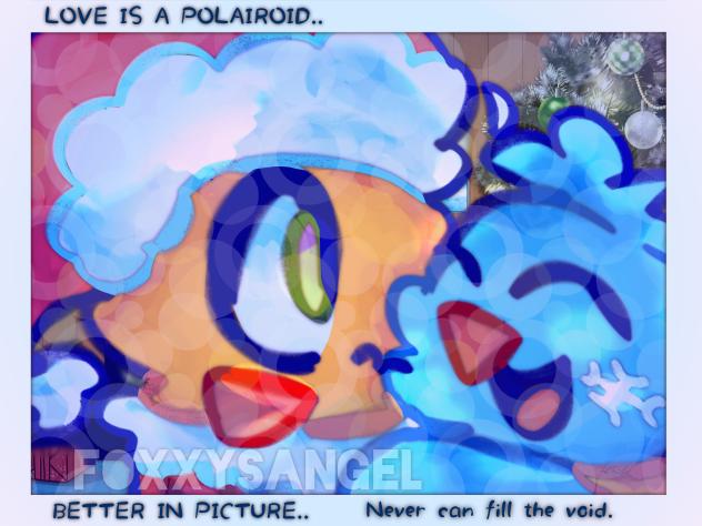 Polaroid.