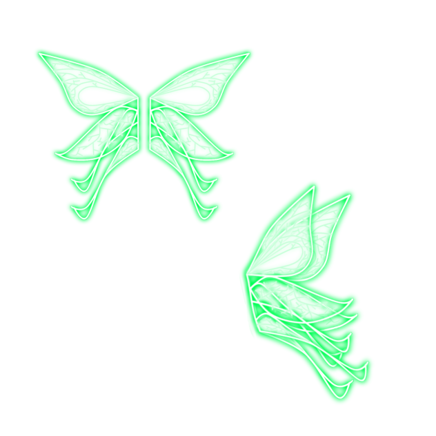 fairy wings